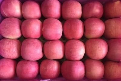 锌硒宝吃了口涩（锌硒宝可以吞服吗）-硒宝网