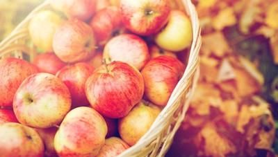 锌硒宝吃了口涩（锌硒宝可以吞服吗）-硒宝网