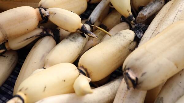 济南产的锌硒宝(济南高新区锌硒宝的价格)-硒宝网