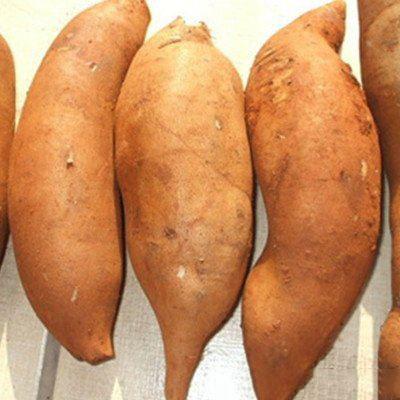 锌硒宝片对痘痘(痘痘锌片宝硒含量多少)-硒宝网