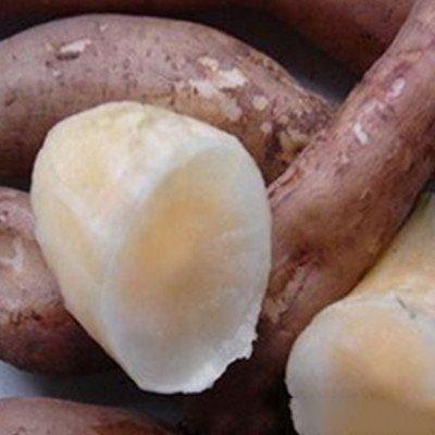 锌硒宝片对痘痘(痘痘锌片宝硒含量多少)-硒宝网