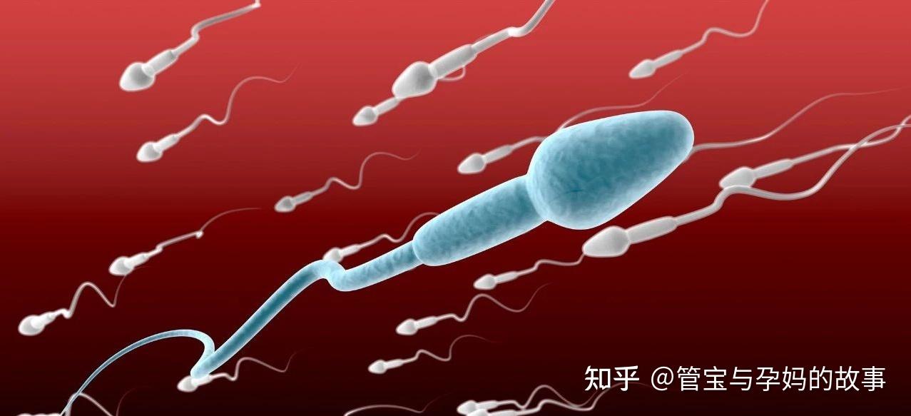 男生备孕锌硒宝（男士备孕锌硒宝）-硒宝网