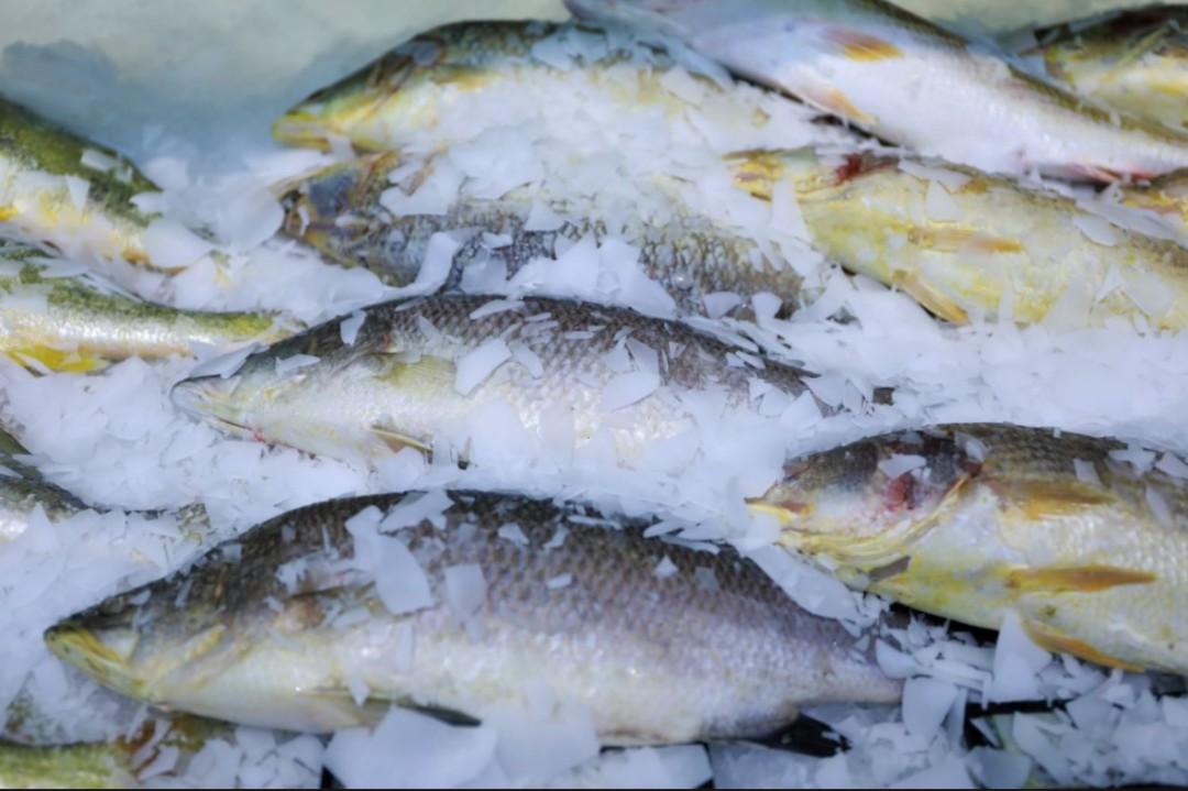 锌硒宝抗病毒吗（锌抗病毒）-硒宝网