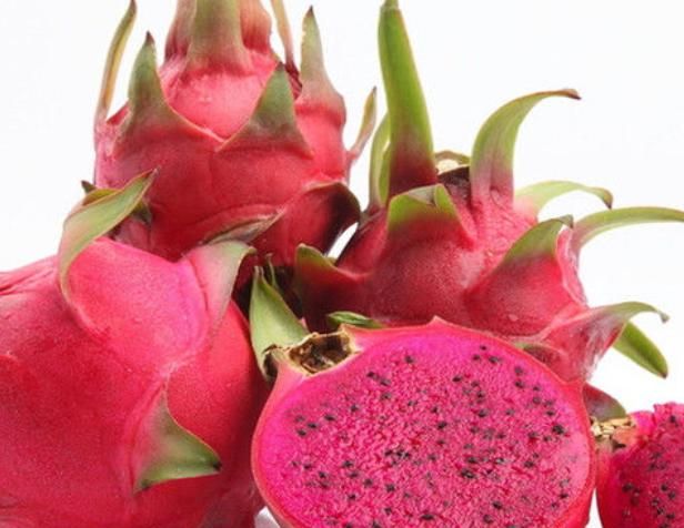 西红素加锌硒宝（锌以锌硒宝）-硒宝网