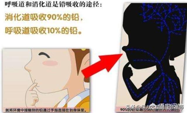 锌硒宝片排铅吗(锌硒宝排铅吗)-硒宝网