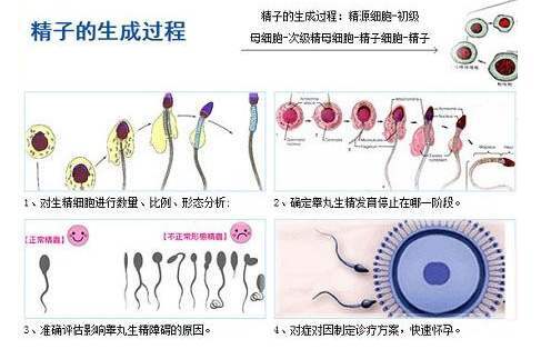 锌硒宝碘蛋白质(蛋白锌碘质宝硒含量高吗)-硒宝网