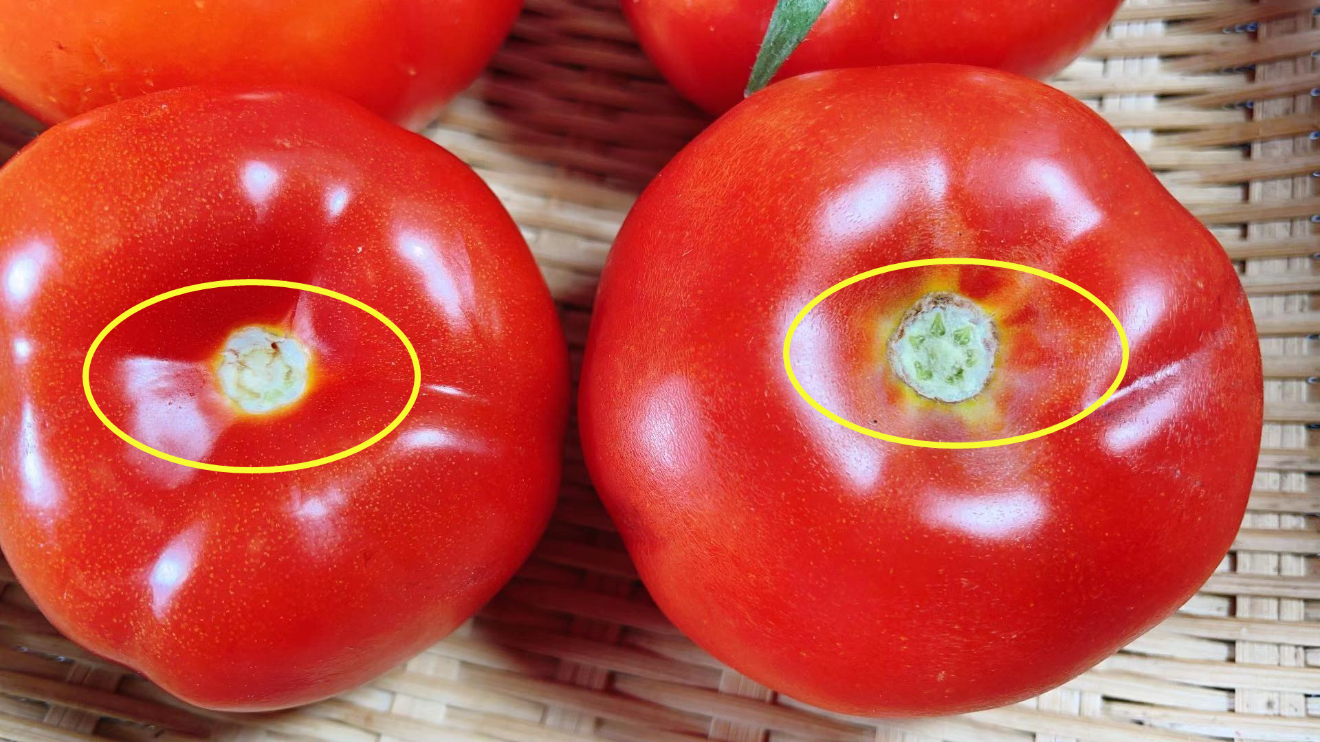 吃三个月锌硒宝（锌硒宝片孩子吃会早熟吗）-硒宝网