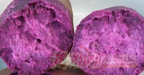 富硒地瓜营养价值（富硒地瓜的营养价值）-硒宝网