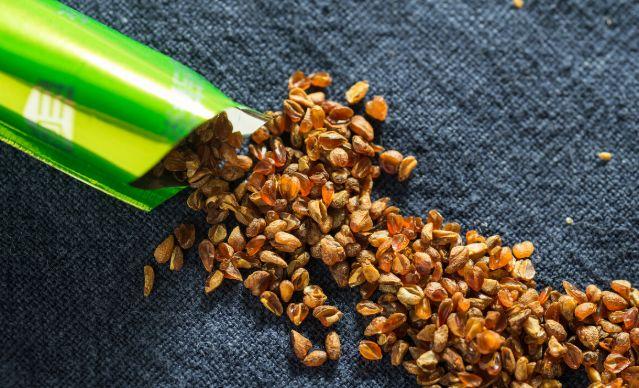 富硒苦荞茶那里卖(富硒苦荞茶的副作用)-硒宝网