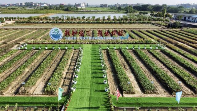 富硒蔬菜种植技术（富硒蔬菜的种植方法）-硒宝网