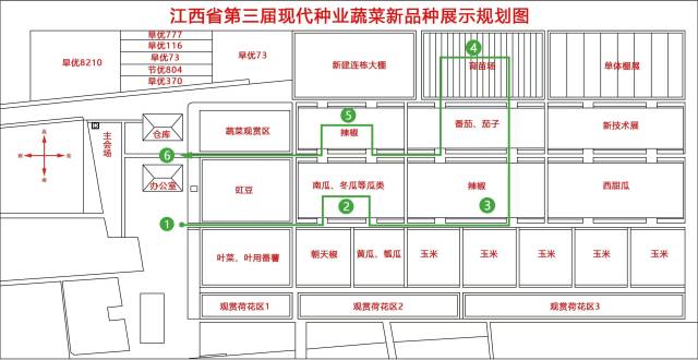 富硒蔬菜种植技术（富硒蔬菜的种植方法）-硒宝网