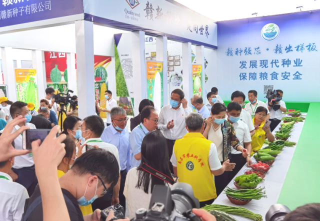 富硒蔬菜种植技术（富硒蔬菜的种植方法）-硒宝网