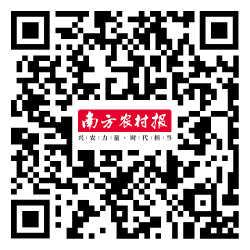 富硒蔬菜种植技术（富硒蔬菜的种植方法）-硒宝网