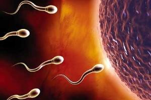 锌硒宝能提高精子(锌硒宝能提高精子)-硒宝网