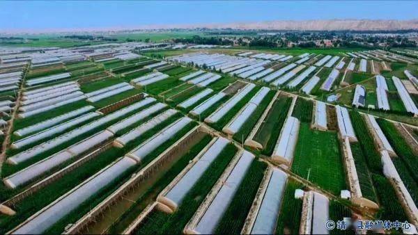 富硒农产品有哪些（富硒农产品对人体的好处）-硒宝网