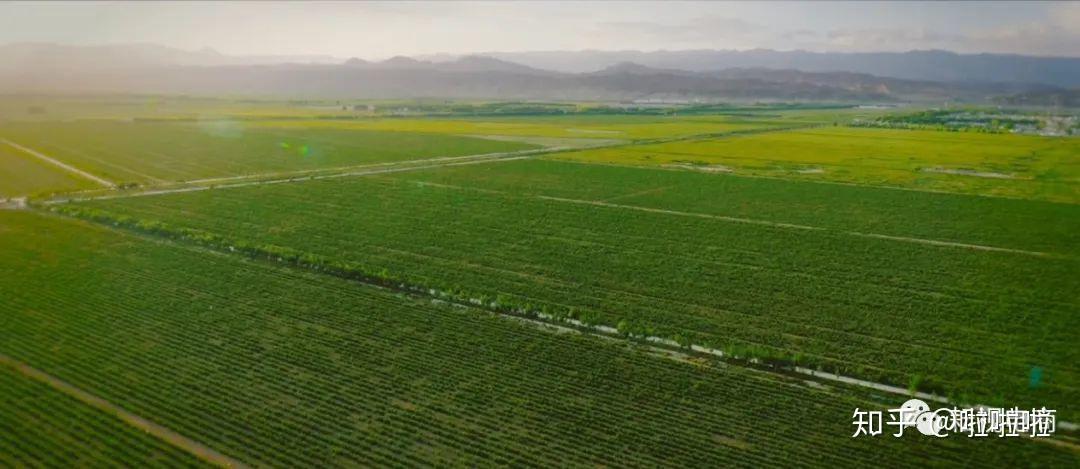 富硒农产品有哪些（富硒农产品对人体的好处）-硒宝网