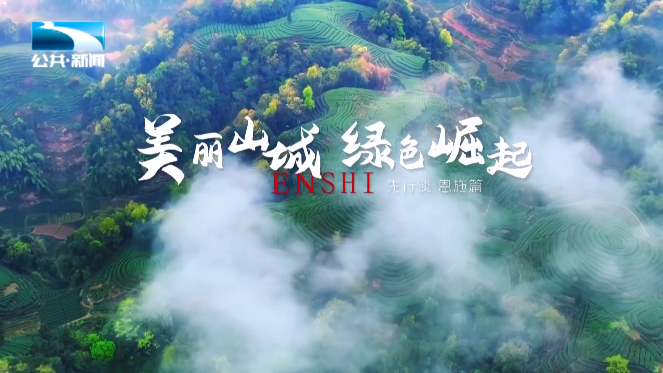 恩施富硒茶有哪些（恩施富硒茶口感如何）-硒宝网