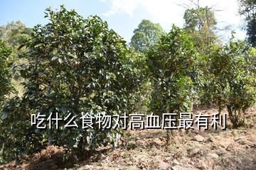 富硒苦荞茶的功效（富硒苦荞茶的副作用）-硒宝网