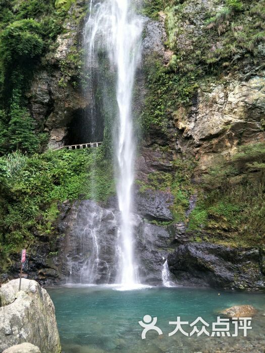 富硒大米种植技术(大米种植富硒技术方法)-硒宝网