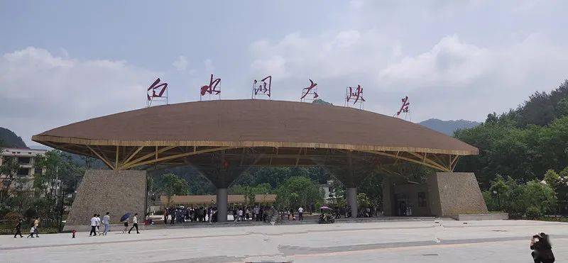 富硒大米种植技术(大米种植富硒技术方法)-硒宝网