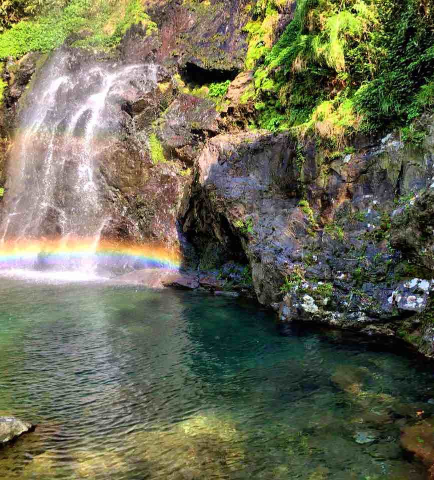 富硒大米种植技术(大米种植富硒技术方法)-硒宝网
