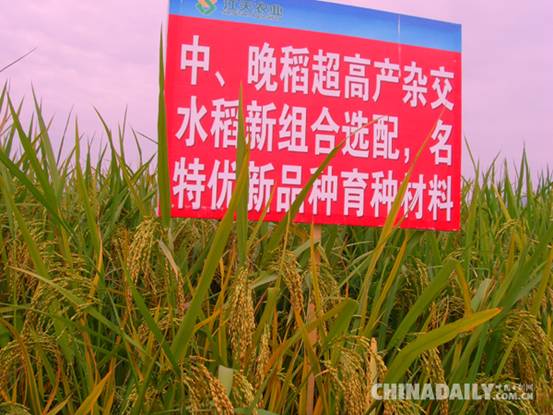 江西富硒大米公司（富硒大米厂家）-硒宝网