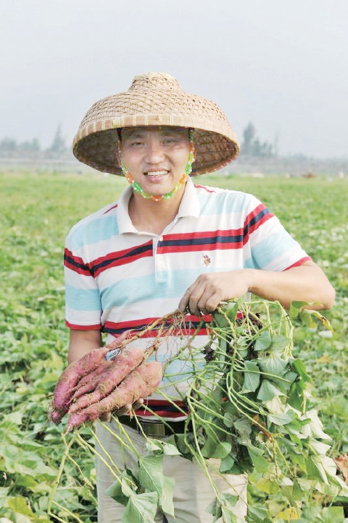 富硒地瓜哪里有卖（富硒地瓜的骗局）-硒宝网