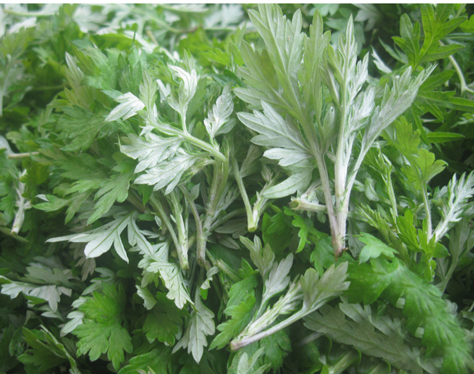 孕妇补硒吃什么药(怀孕吃硒片)-硒宝网