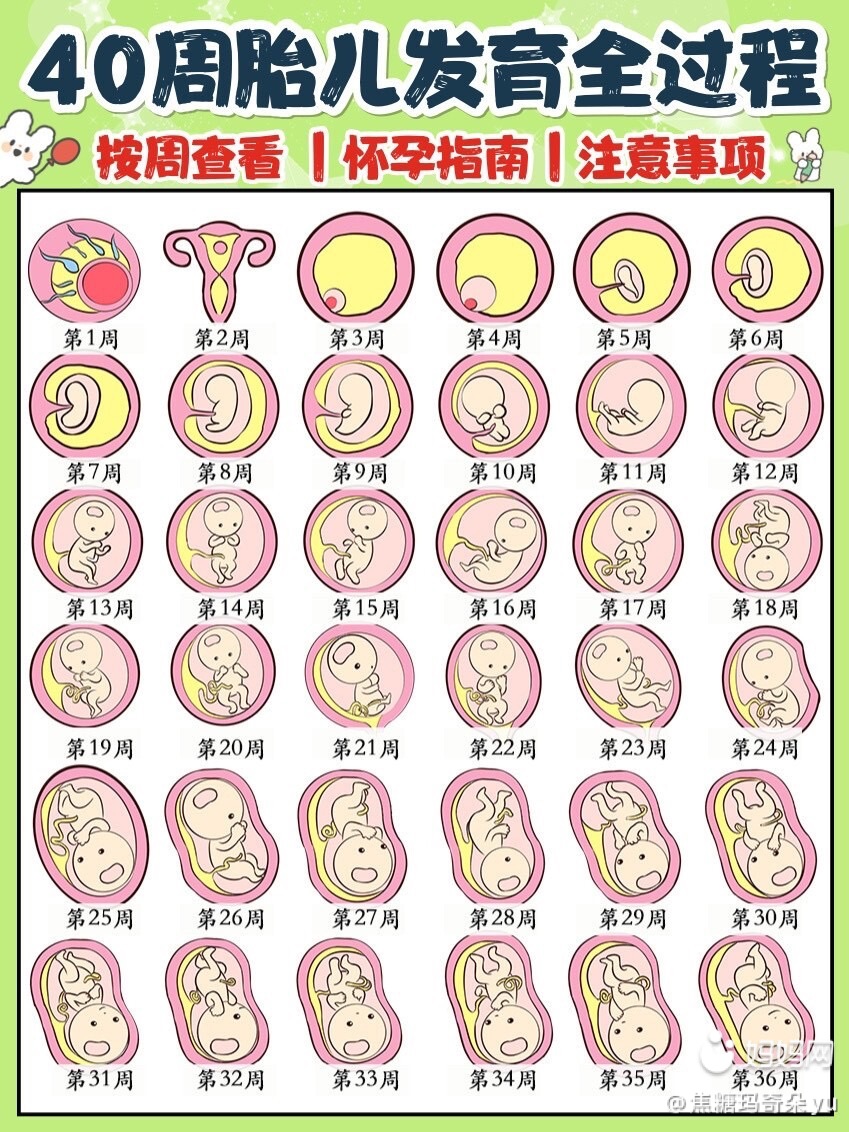 伊分子锌硒宝价格(锌以锌硒宝)-硒宝网