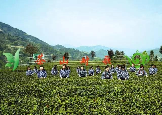 紫阳富硒茶观光园（紫阳富硒茶厂）-硒宝网