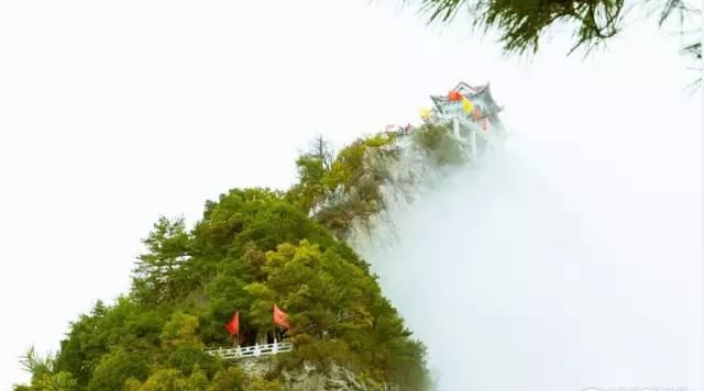 紫阳富硒茶观光园（紫阳富硒茶厂）-硒宝网