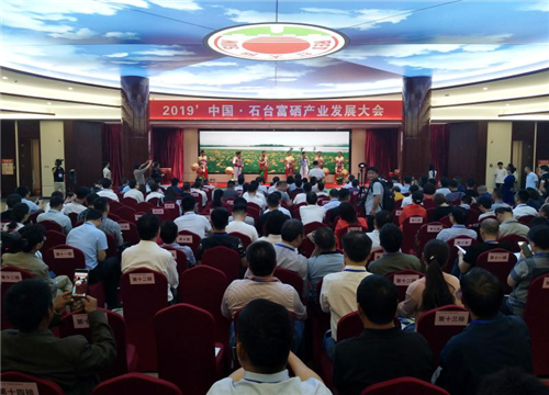 仙寓山富硒茶价格(仙寓山富硒野茶是什么茶)-硒宝网