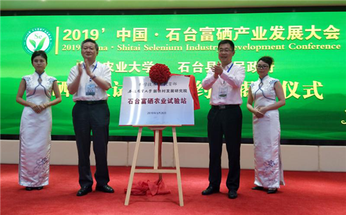 仙寓山富硒茶价格(仙寓山富硒野茶是什么茶)-硒宝网