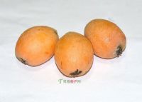 南贡河开阳富硒茶（南贡河开阳富硒茶价格）-硒宝网