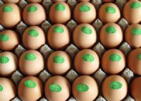 南贡河开阳富硒茶（南贡河开阳富硒茶价格）-硒宝网