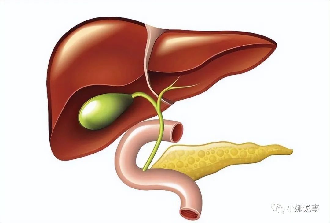 硒酵母是补硒的吗(硒酵母是补充什么的)-硒宝网