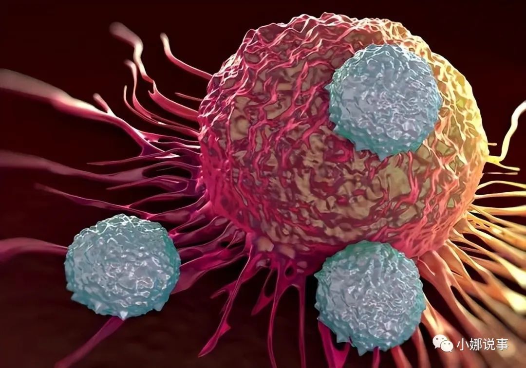 硒酵母是补硒的吗(硒酵母是补充什么的)-硒宝网