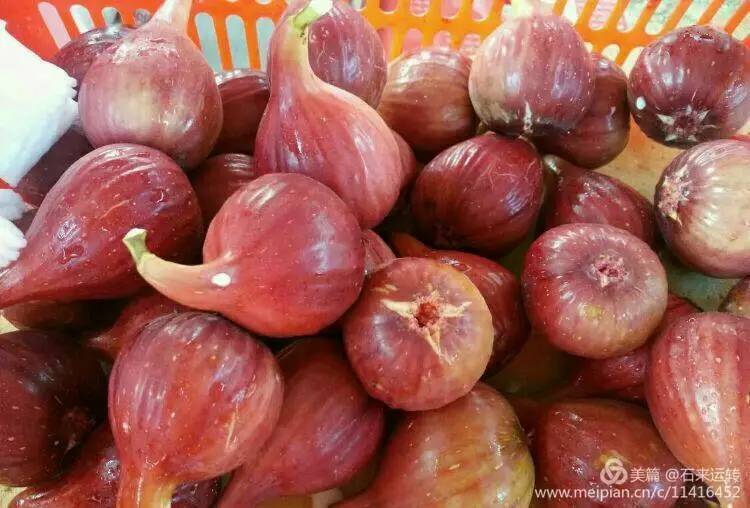 无花果怎么补硒的（无花果的硒含量是多少）-硒宝网