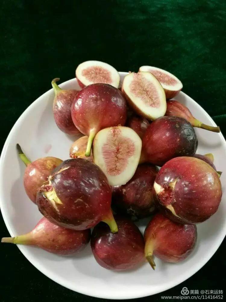 无花果怎么补硒的（无花果的硒含量是多少）-硒宝网