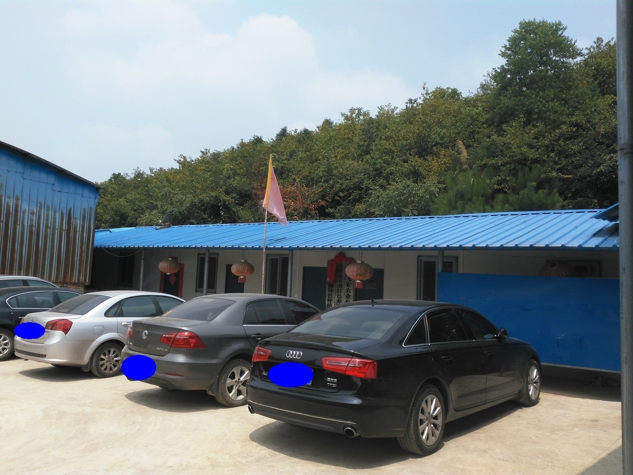 无花果怎么补硒的（无花果的硒含量是多少）-硒宝网