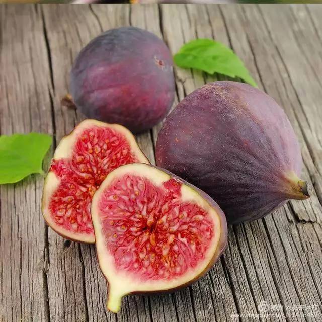 无花果怎么补硒的（无花果的硒含量是多少）-硒宝网