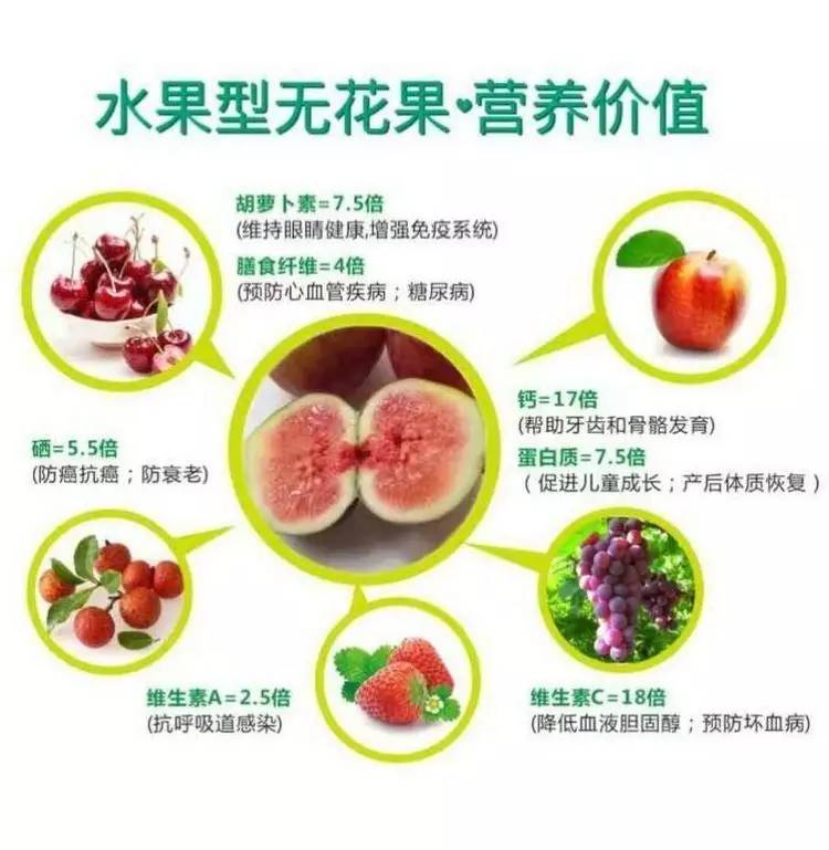 无花果怎么补硒的（无花果的硒含量是多少）-硒宝网