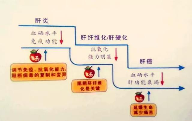 乙肝补硒要吃多久（乙肝患者补硒）-硒宝网