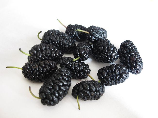 补硒含量高的水果(含量水果补高硒吗)-硒宝网