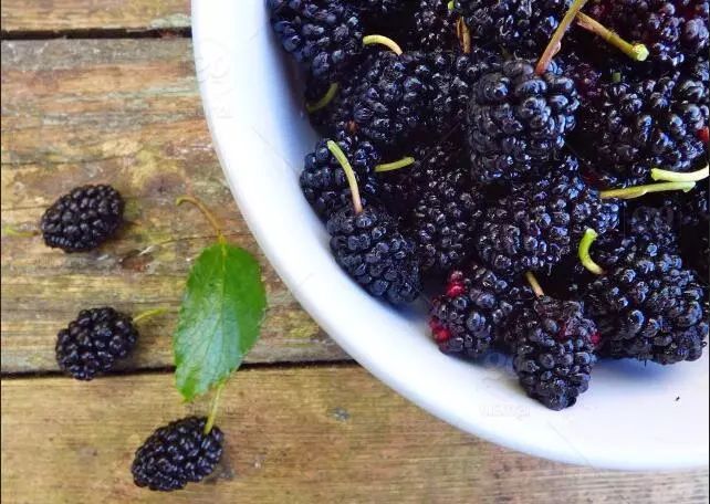 补硒含量高的水果(含量水果补高硒吗)-硒宝网