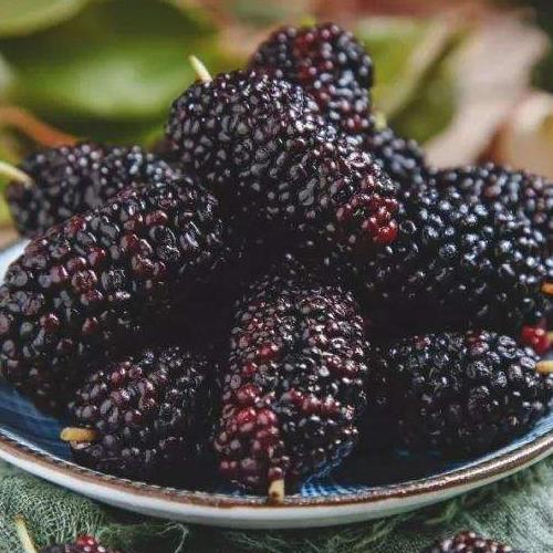 补硒含量高的水果(含量水果补高硒吗)-硒宝网