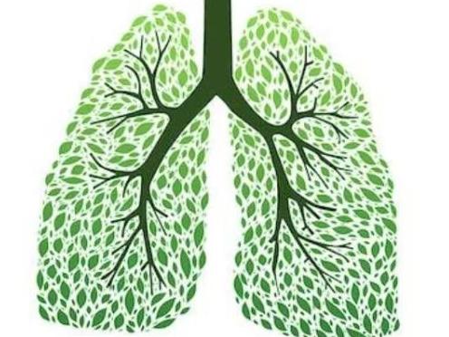 肺鳞癌患者能补硒(硒治疗肺癌有效果吗)-硒宝网