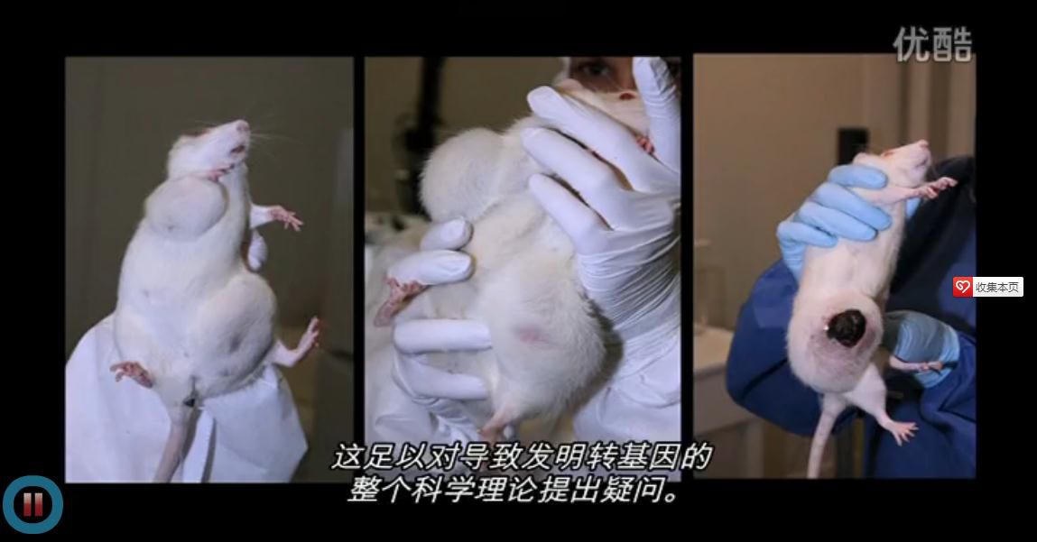 补硒多久能抗癌?。拱┎刮闹趾茫?硒宝网