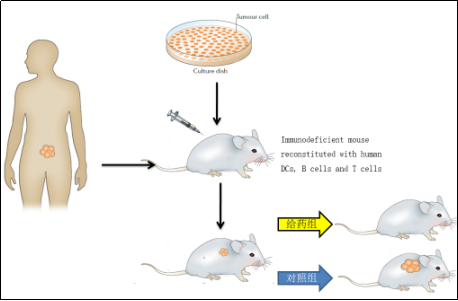 补硒多久能抗癌?。拱┎刮闹趾茫?硒宝网