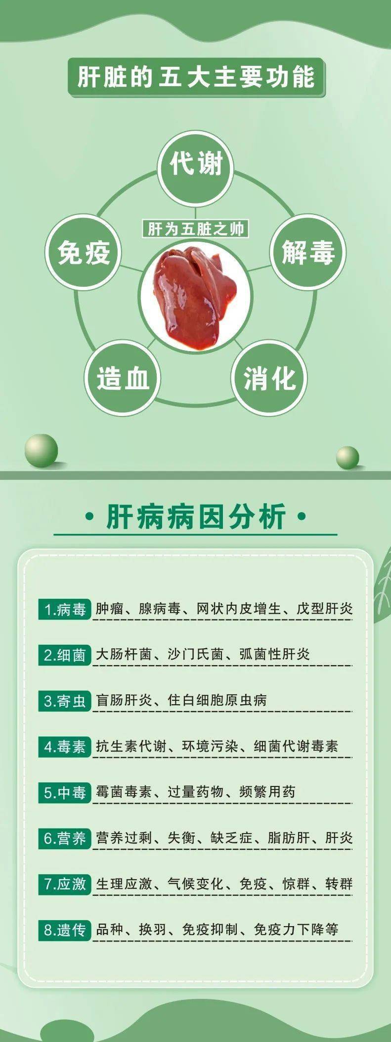 严重的肝硬化补硒(肝硬化硒)-硒宝网